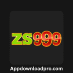 ZS999 Game